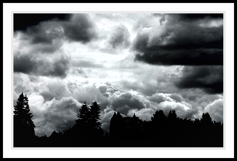 Tree line with dark clouds.